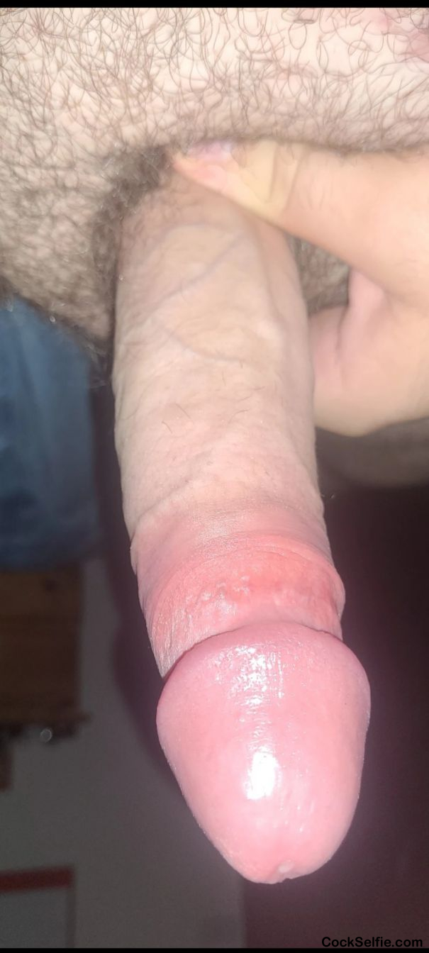 My dick feel free to use my pic how ever you want - Cock Selfie