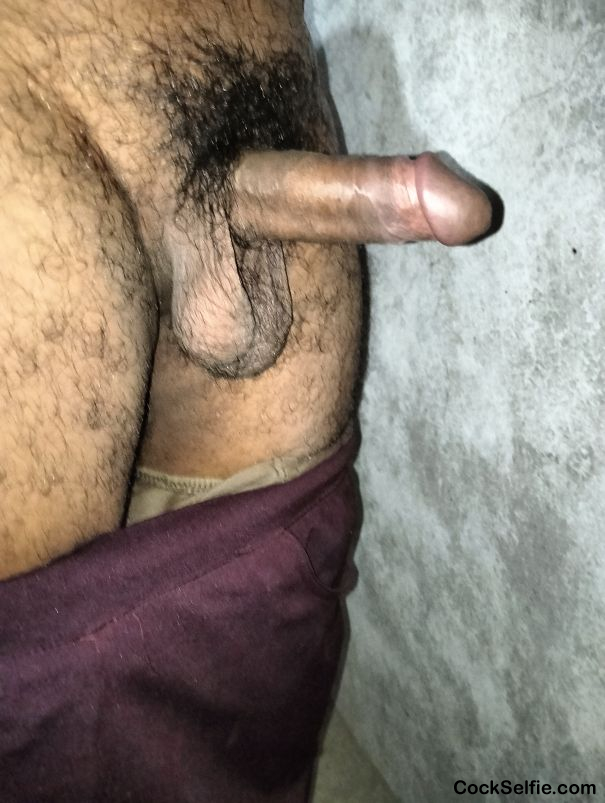 Hairy Dick suck it - Cock Selfie