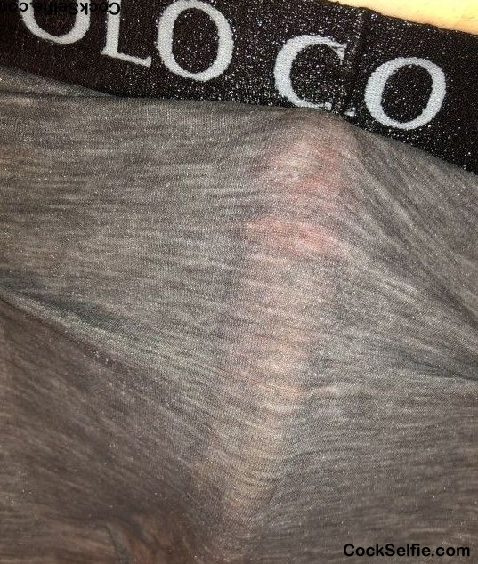 Me and my wet Polo boxer briefs - Cock Selfie