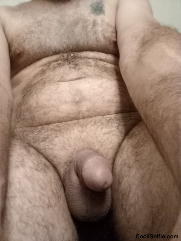 Help want someone to play with it - Cock Selfie