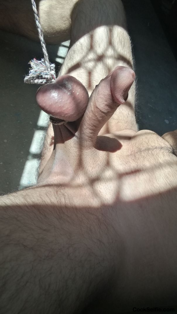 My Shaved Eggs tied and punished to be Hanged - Cock Selfie