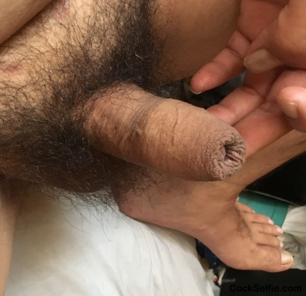 Soft uncircumcised penis - Cock Selfie