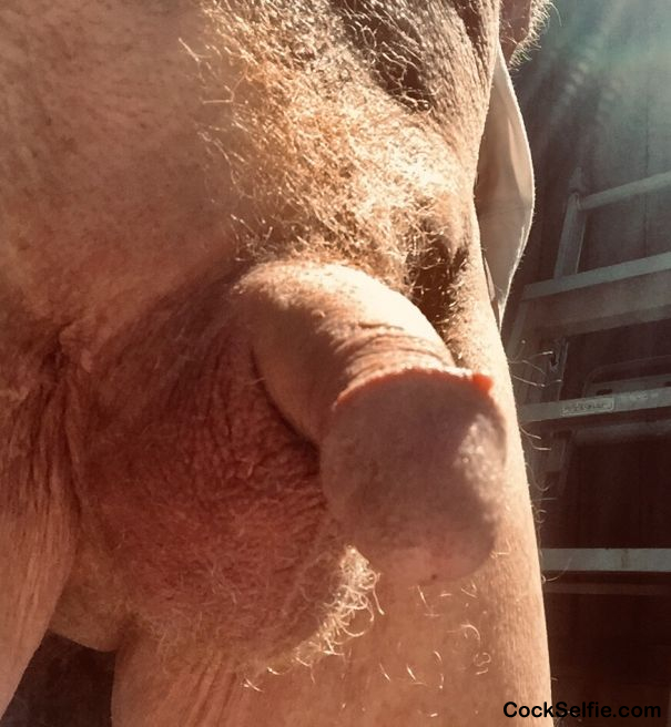 On a sunny afternoon - Cock Selfie