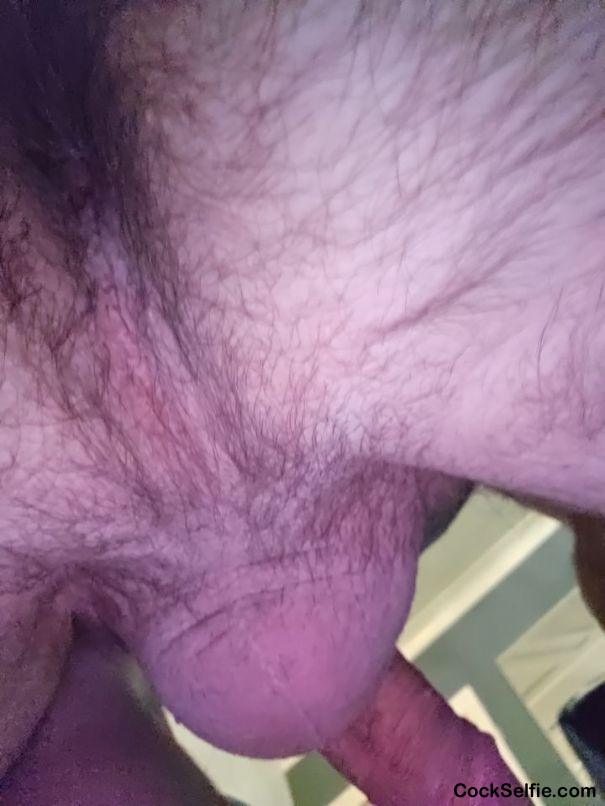 Anyone like to rim me? - Cock Selfie