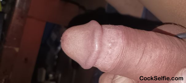 On the tip of your tongue - Cock Selfie