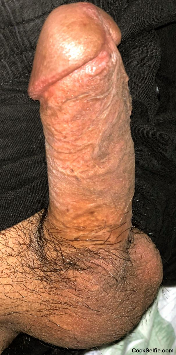 Suck my cock - Cock Selfie