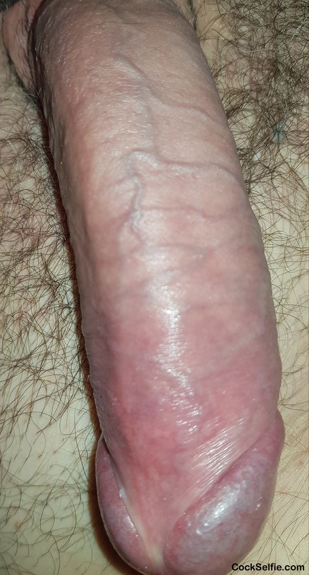 I couldn't help it...I was feeling horny again this morning - Cock Selfie