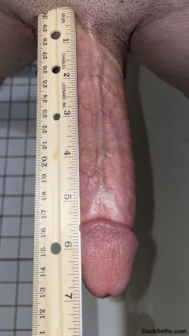 7 Inch Penis BWC Cock Measure Ruler Porn - posted to Cock Selfie