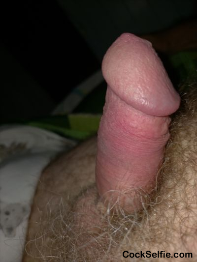 My stiff cut cock. What do think of it? - Cock Selfie