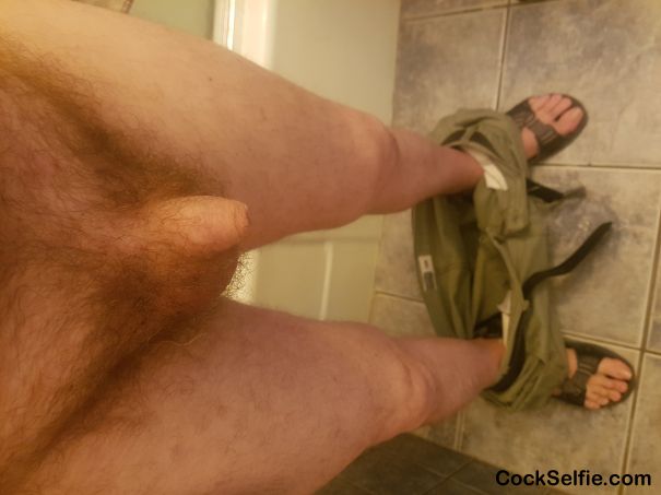 Just pulled pants down. Tiny. - Cock Selfie
