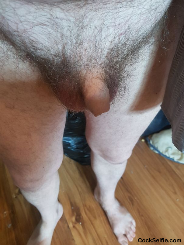 Just stripping down for J.O session. Little head hidden - Cock Selfie