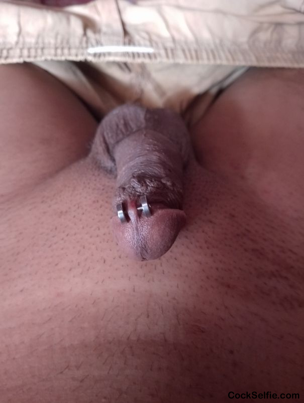 Desi boy penis piercing - Cock Selfie