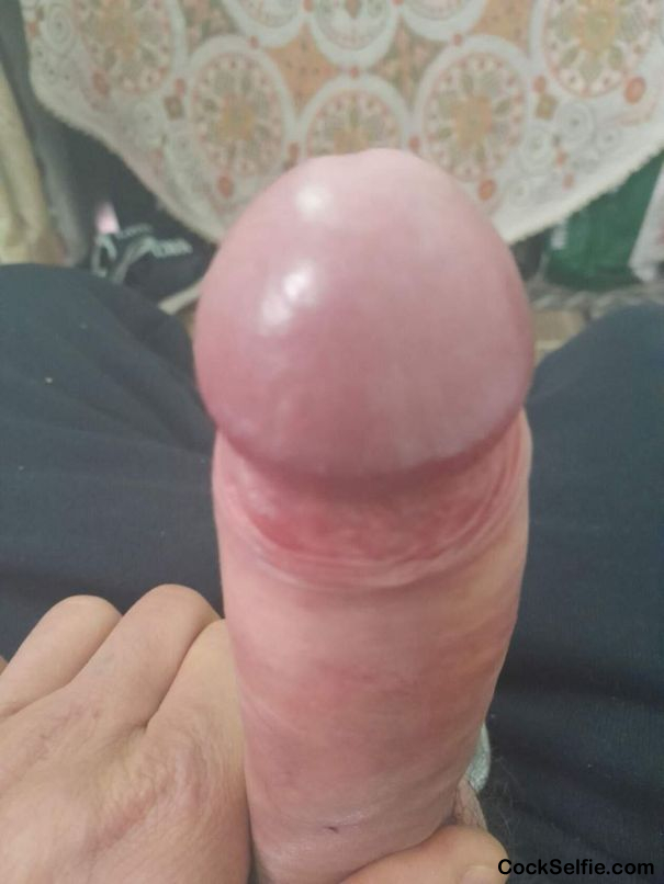 I am Dom bear for old subs , old wankers, old CD 55-80 years - Cock Selfie