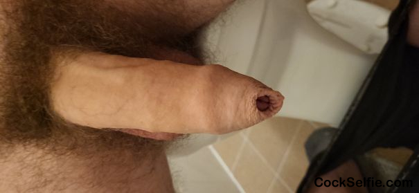 What you say? - Cock Selfie