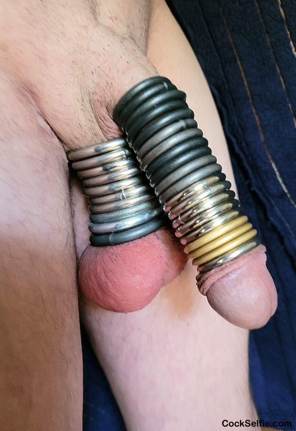 20 rings on cock, 10rings on balls. - Cock Selfie