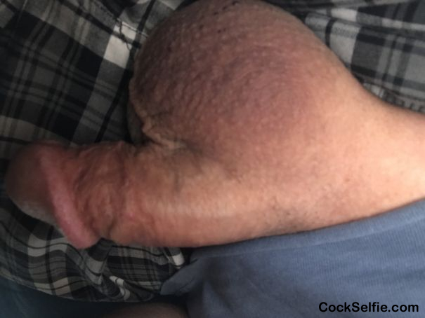 Any cocks nearby for fun? - Cock Selfie
