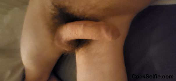 Who want to? - Cock Selfie
