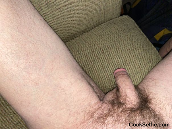 Starting to play - Cock Selfie