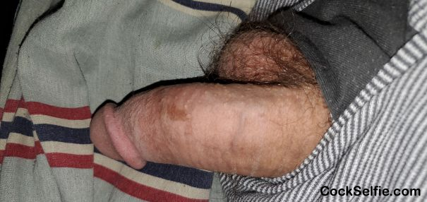 Would you suck me while I was sleeping? - Cock Selfie