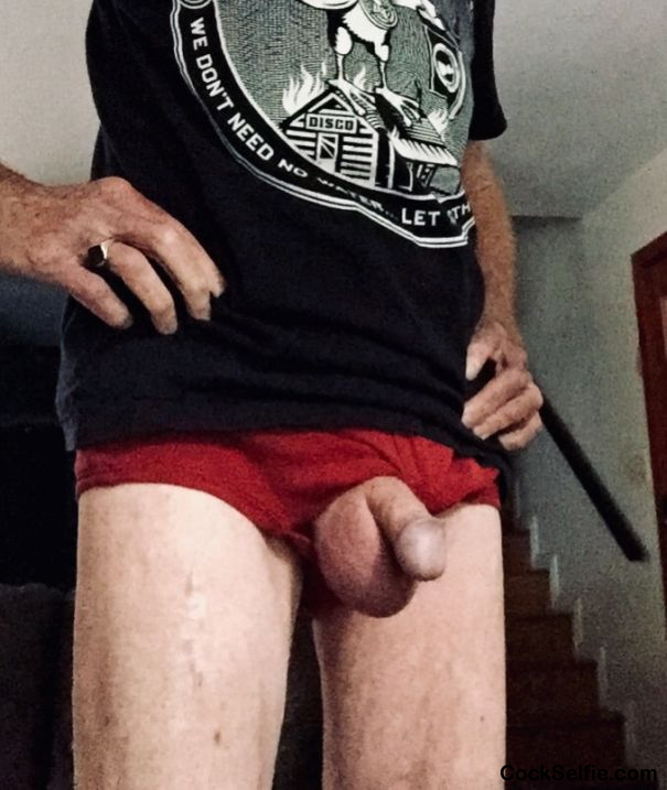 Morning bulge - Cock Selfie