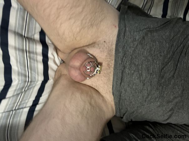 In my cage - Cock Selfie