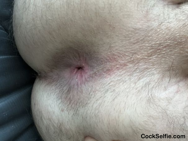 So many cocks here i want in me - Cock Selfie