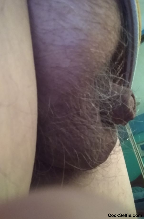 Is this a cock ? - Cock Selfie