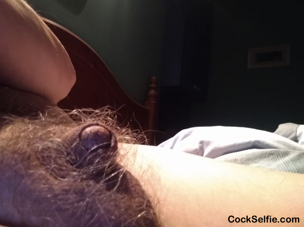 I think there is a cock here somewhere ????? - Cock Selfie