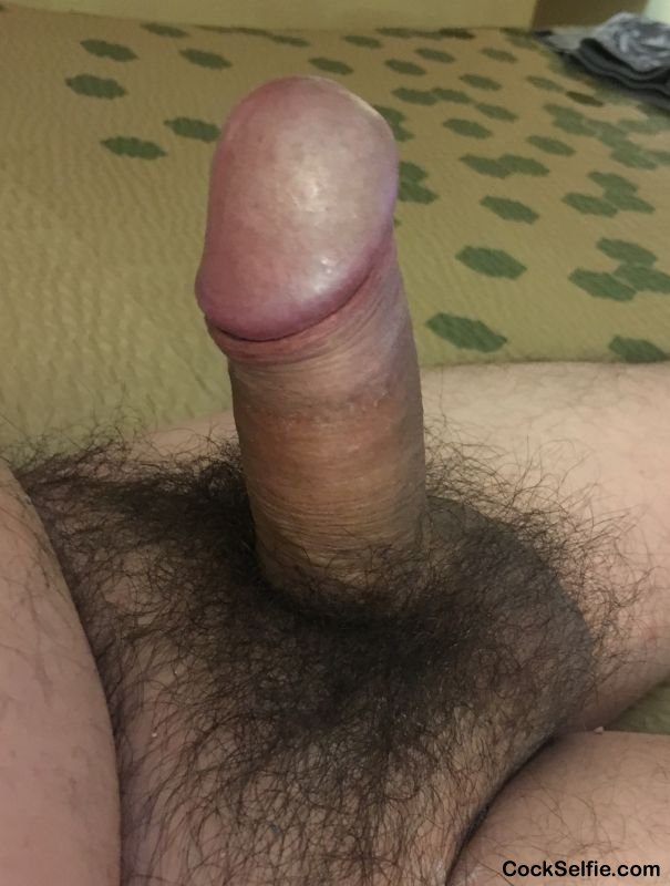 My short fat erect 44 y/o penis. - Cock Selfie