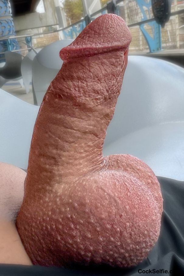 Penis Fetish Porn - Cock Selfie