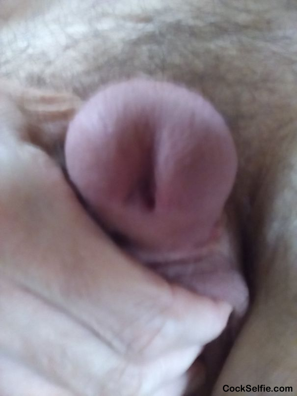 Pee hole - Cock Selfie