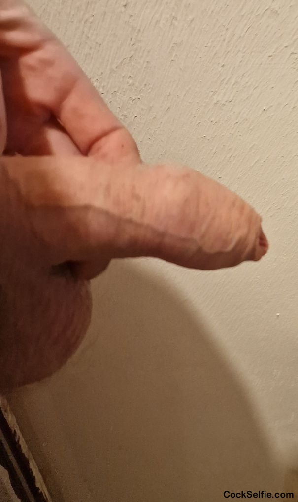 my little erect dick - Cock Selfie