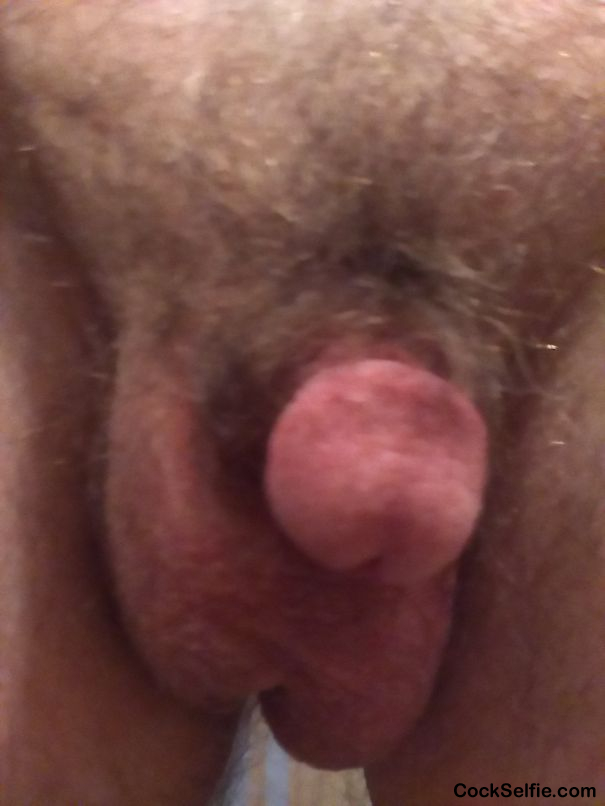 My pee pee - Cock Selfie