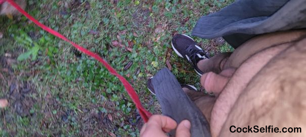 Taking my dog for a walk - Cock Selfie