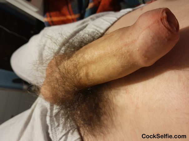 Any young women? - Cock Selfie