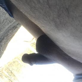 Anyone for some outdoor cock play in south central missouri? - Cock Selfie