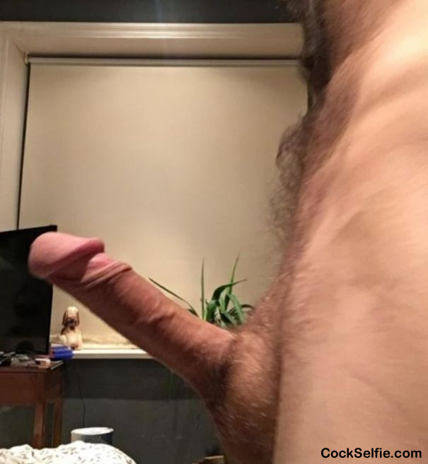 You know you want me in you mouth and ass!!! - Cock Selfie