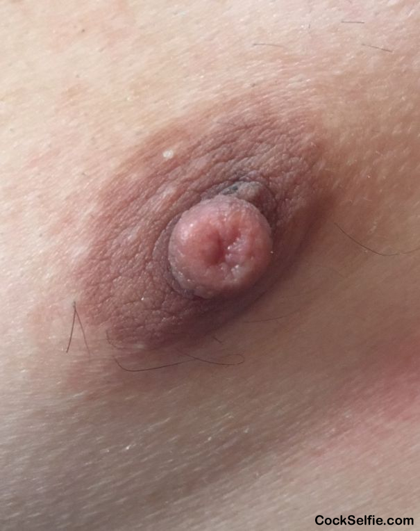 Suck my brown nipple - Cock Selfie