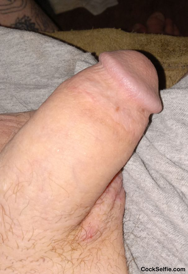 Rate my cock in comments or message - Cock Selfie