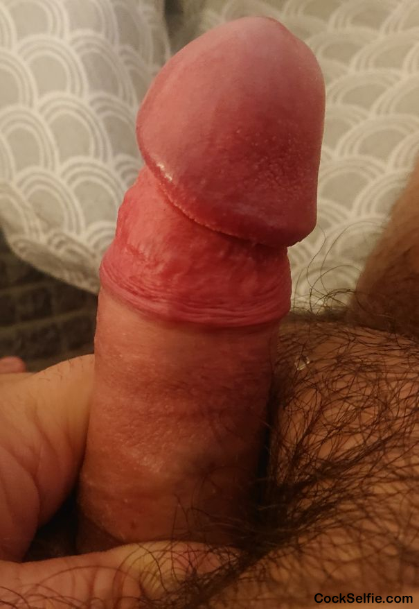 My cock just feels so good right now - Cock Selfie