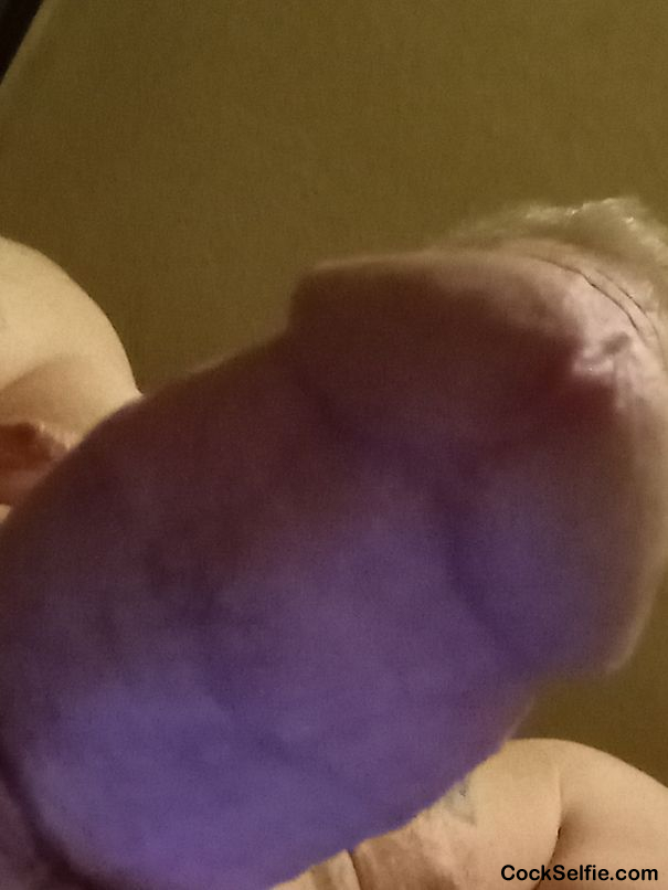Suck this - Cock Selfie