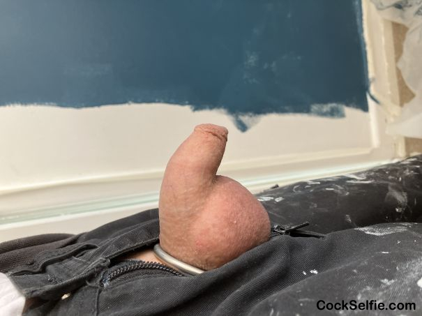 Still painting - Cock Selfie