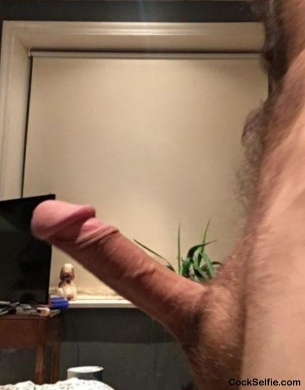 Thoughts?? - Cock Selfie