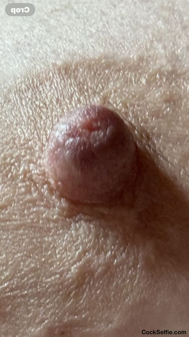 Who wouldWho would like to suck my nipple just took my pic comment on it - Cock Selfie