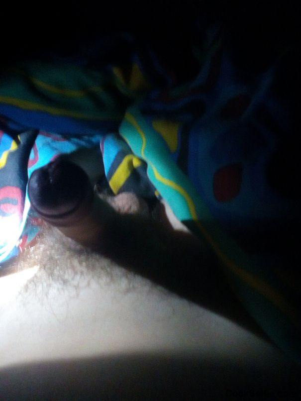 Horny right now - Cock Selfie