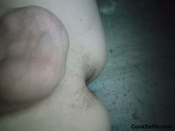 My Ass and balls - Cock Selfie