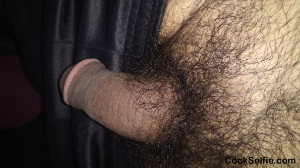 Hairy horny - Cock Selfie