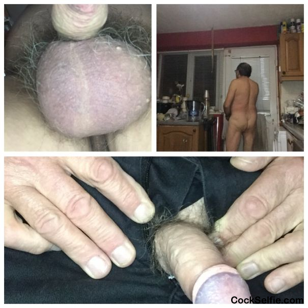 Collages - Cock Selfie