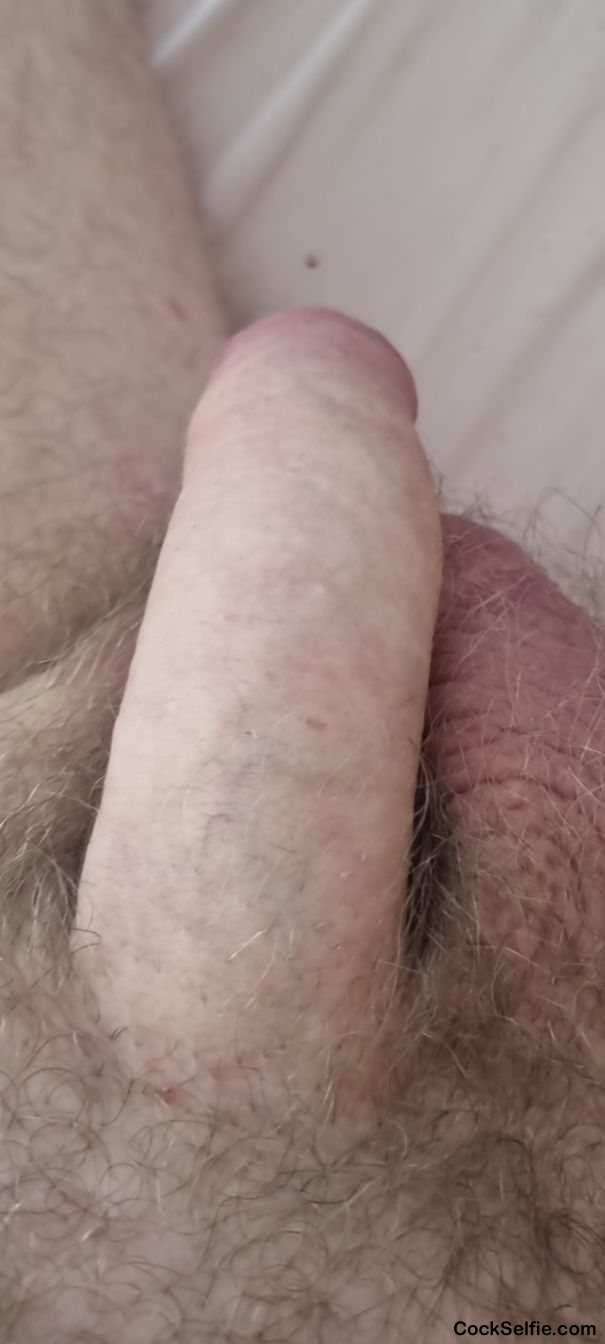any takers - Cock Selfie