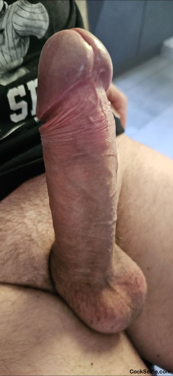 Mein harter Penis - Cock Selfie